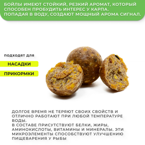 Бойлы GBS прикормочные Peas (Горох) 20мм 1кг фото 2