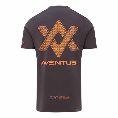 Футболка GURU Aventus Tee Charcoal фото 4