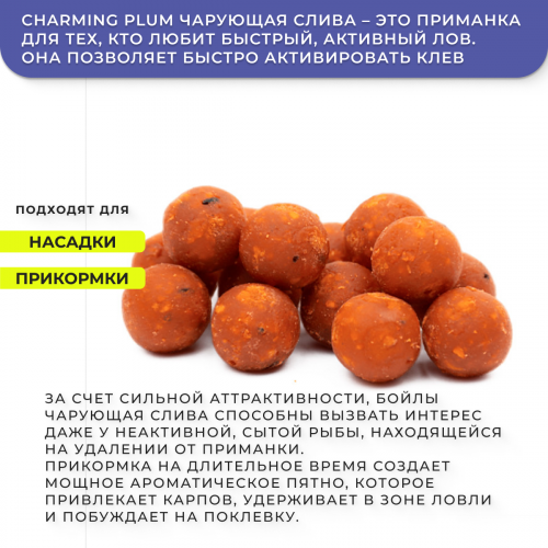 Бойлы GBS прикормочные Charming Plum (Очаровательная слива) 20мм 1кг фото 2