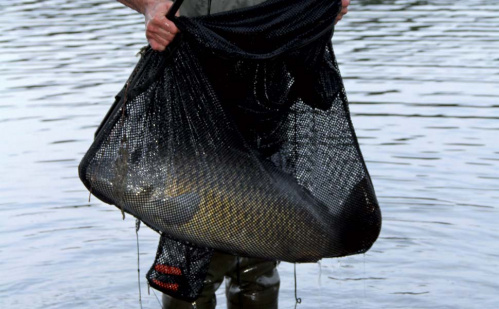 FOX Safety Carp Sack - Мешок для хранения рыбы фото 2