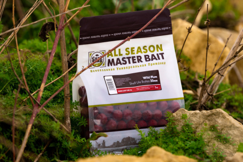 Бойлы тонущие насадочные CarpTime Master Bait Wild Plum (Дикая Слива) 1кг фото 4