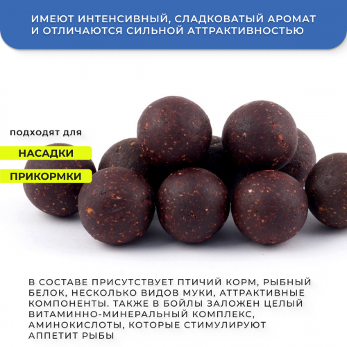 Пылящие бойлы GBS Wild Plum (Дикая Слива) 24мм 1кг фото 4