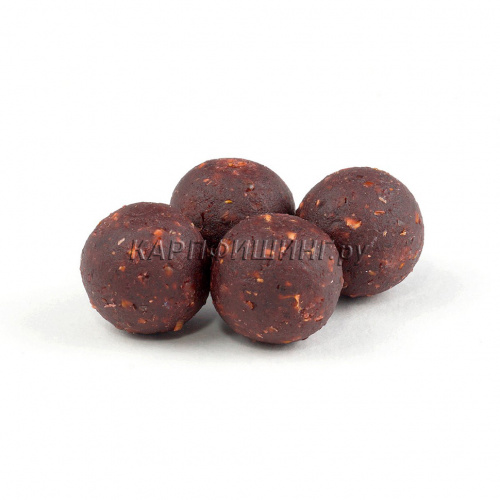 Бойлы Вареные GBS и Fadeev hard series Charming Plum Чарующая слива 20мм фото 2