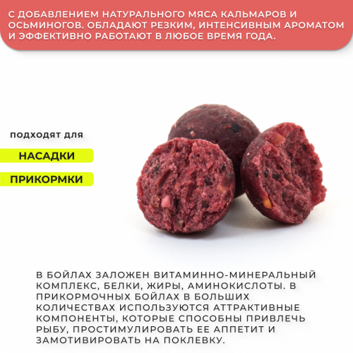 Бойлы GBS прикормочные Squid Octopus (Кальмар осьминог) 20мм 1кг фото 2