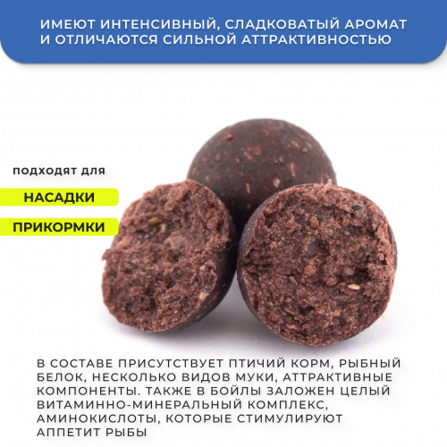 Бойлы GBS прикормочные Wild Plum (Дикая слива) 20мм 1кг фото 2