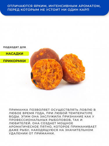 Бойлы GBS прикормочные PLUM SHELLS (Слива-Ракушка) 20мм 1кг фото 2