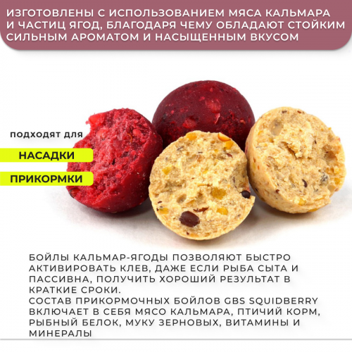 Бойлы GBS прикормочные Squidberry (Кальмар + Ягоды) 20мм 1кг фото 2